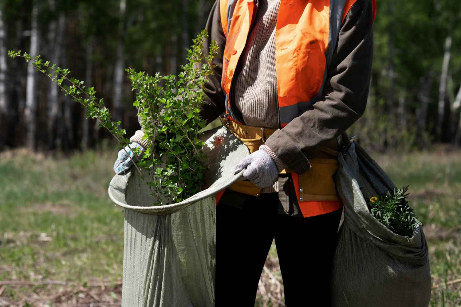 Best Tree Clearing Services  in Dasher, GA